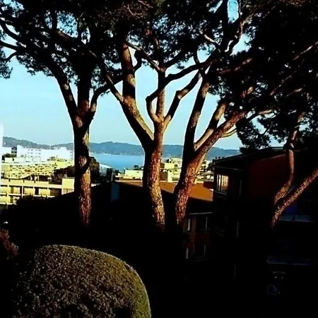 Les Pins Ensoleilles 2 Sainte-Maxime